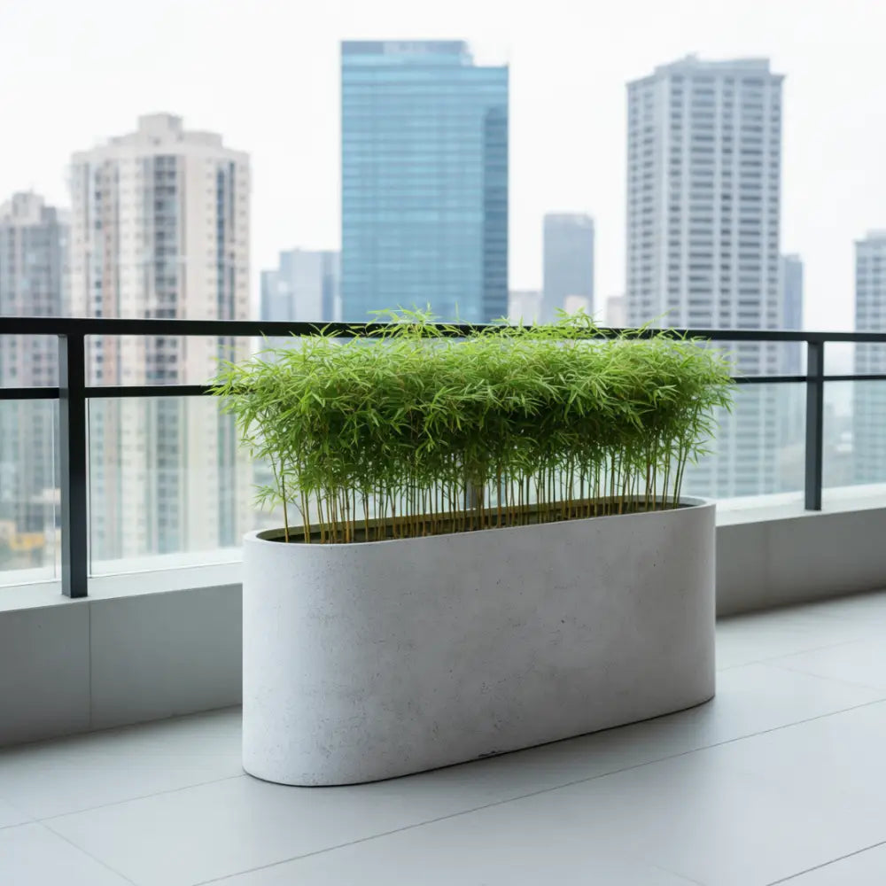 Grand pot de fleur pour bambou