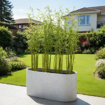 Grand pot de fleur pour bambou