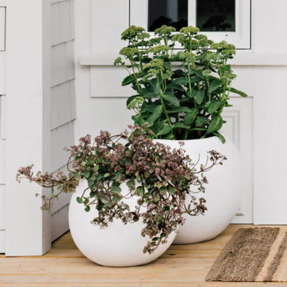 Grand pot de fleur rond