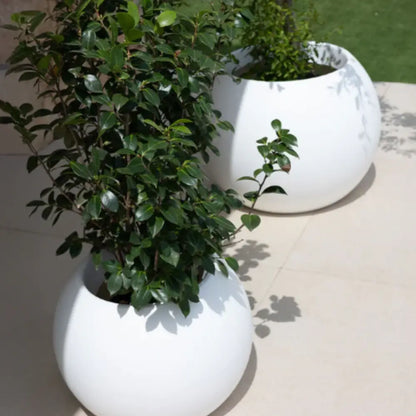 Grand pot de fleur rond