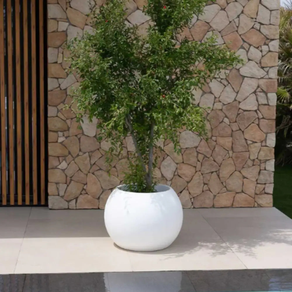 Grand pot de fleur rond