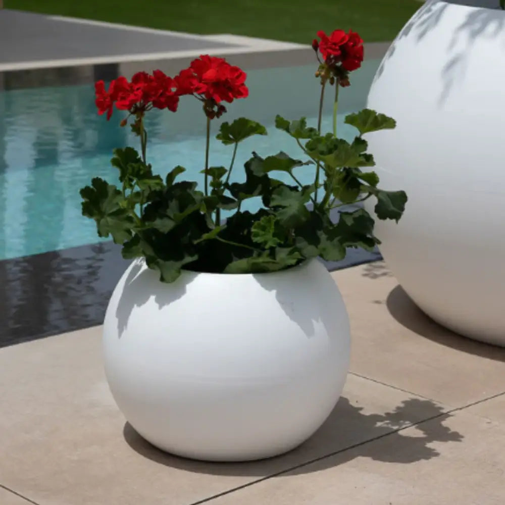 Grand pot de fleur rond