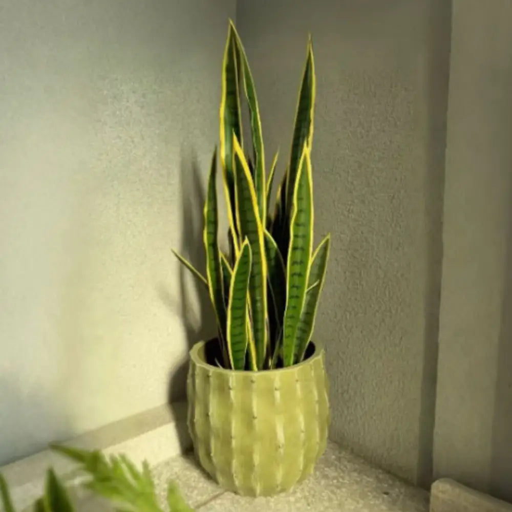 Grand pot de fleur vert