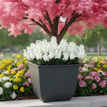 Gros pot de fleur carré