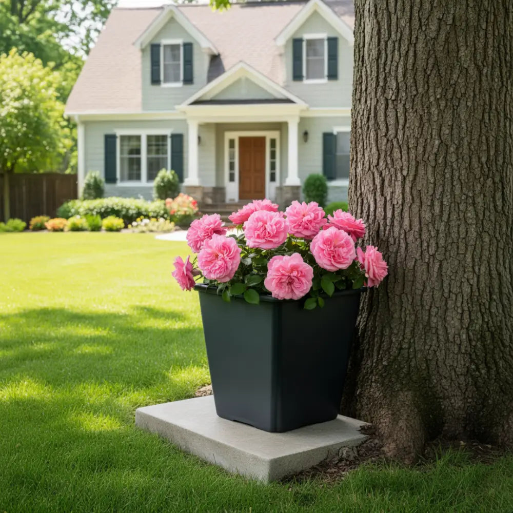 Gros pot de fleur carré