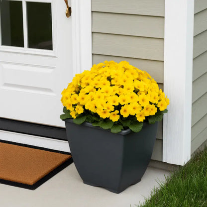 Gros pot de fleur carré