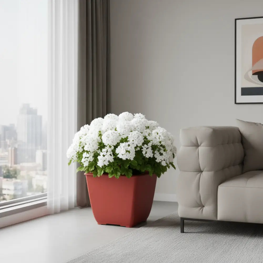 Gros pot de fleur carré