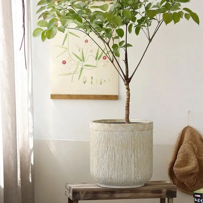 Gros pot de fleur en ciment