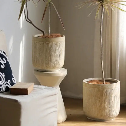 Gros pot de fleur en ciment