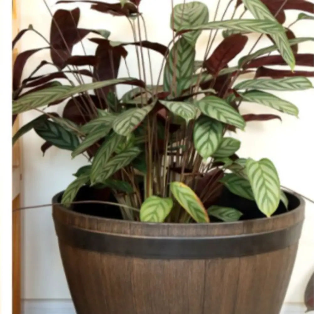 Gros pot de fleur en plastique