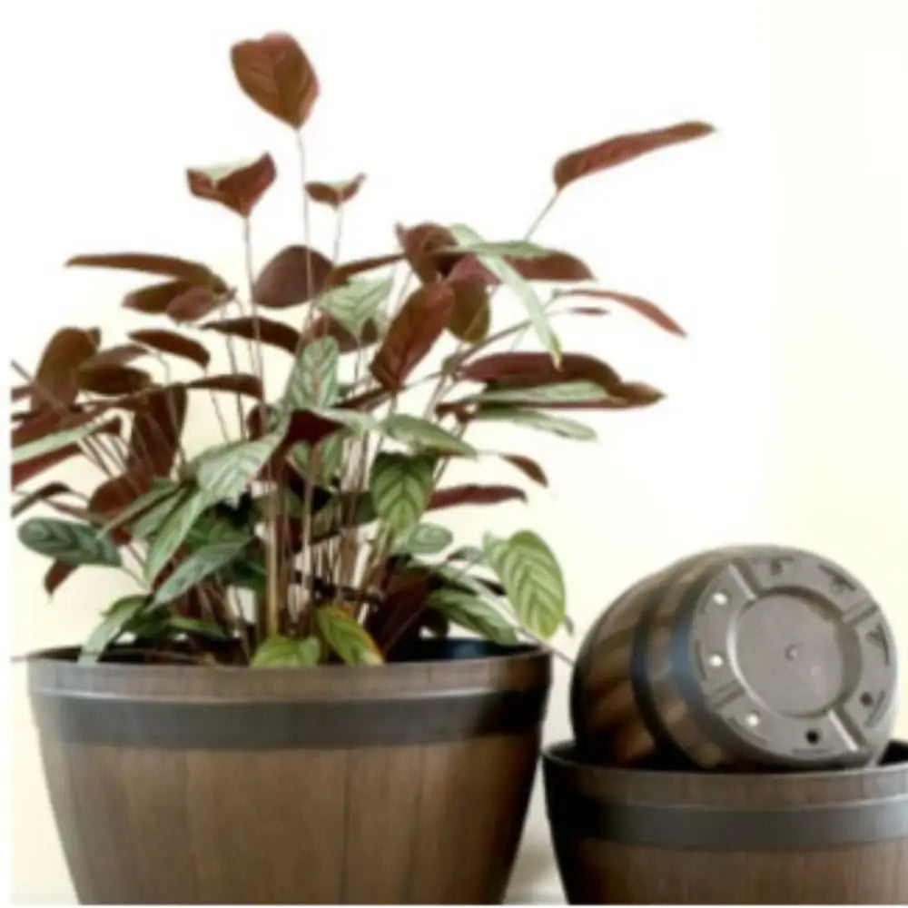 Gros pot de fleur en plastique