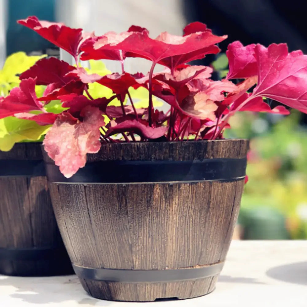 Gros pot de fleur en plastique