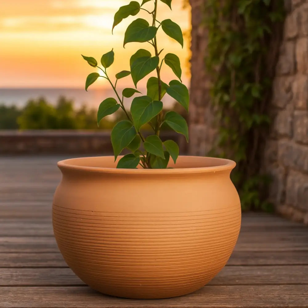 Gros pot de fleur en terre cuite