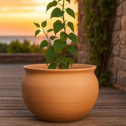 Gros pot de fleur en terre cuite