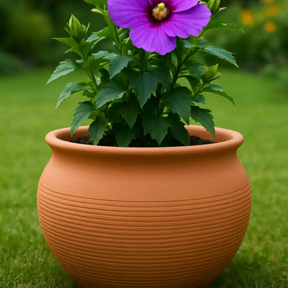 Gros pot de fleur en terre cuite
