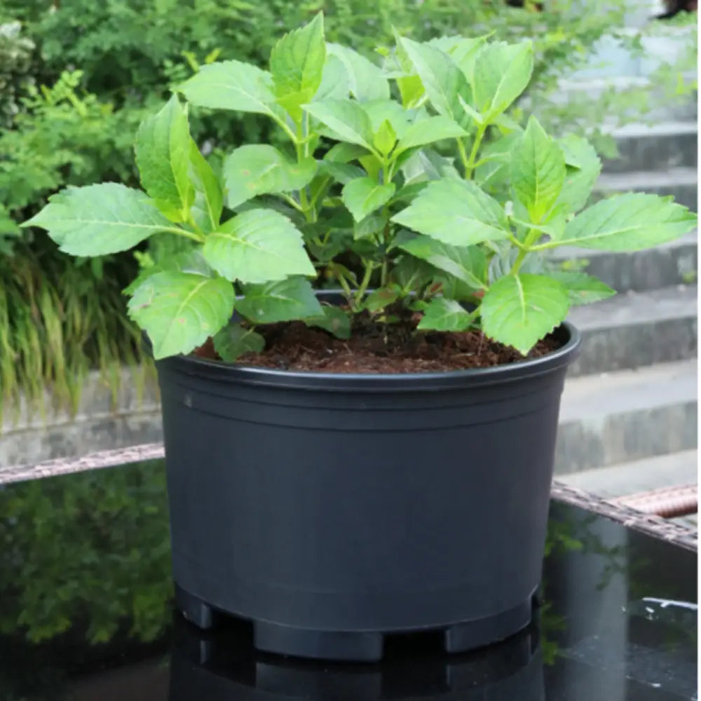 Gros pot de fleur extérieur plastique