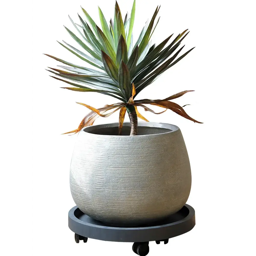 Gros pot de fleur rond