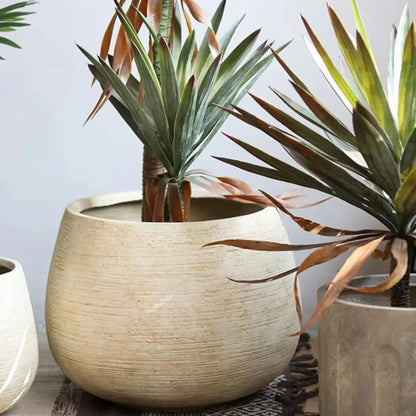 Gros pot de fleur rond