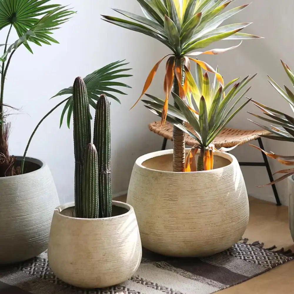 Gros pot de fleur rond