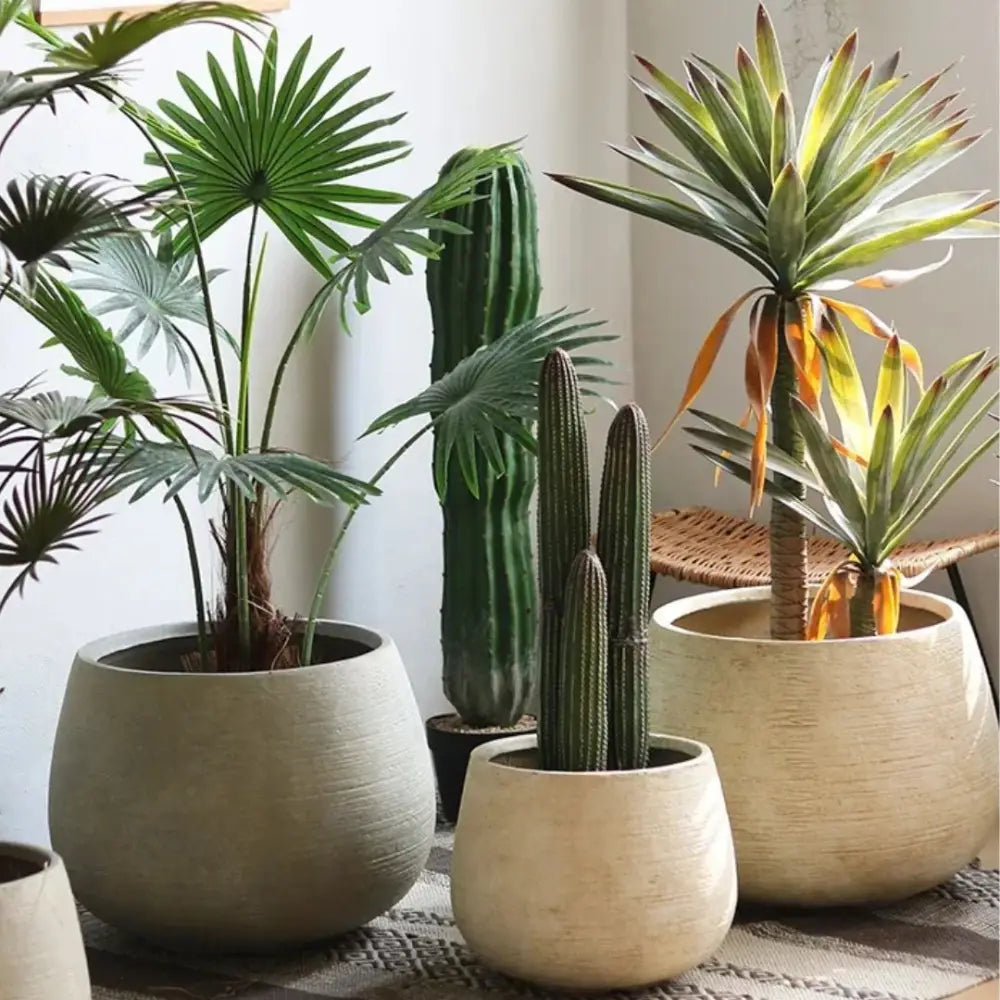 Gros pot de fleur rond