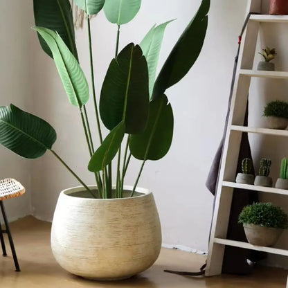 Gros pot de fleur rond