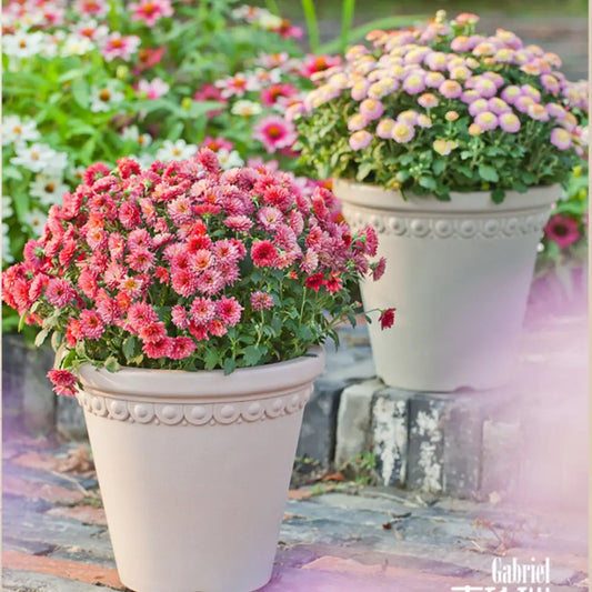 Lot de 3 pot de fleur plastique