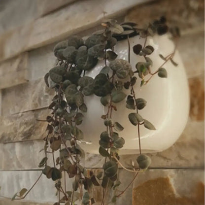 Mini pot de fleur à suspendre