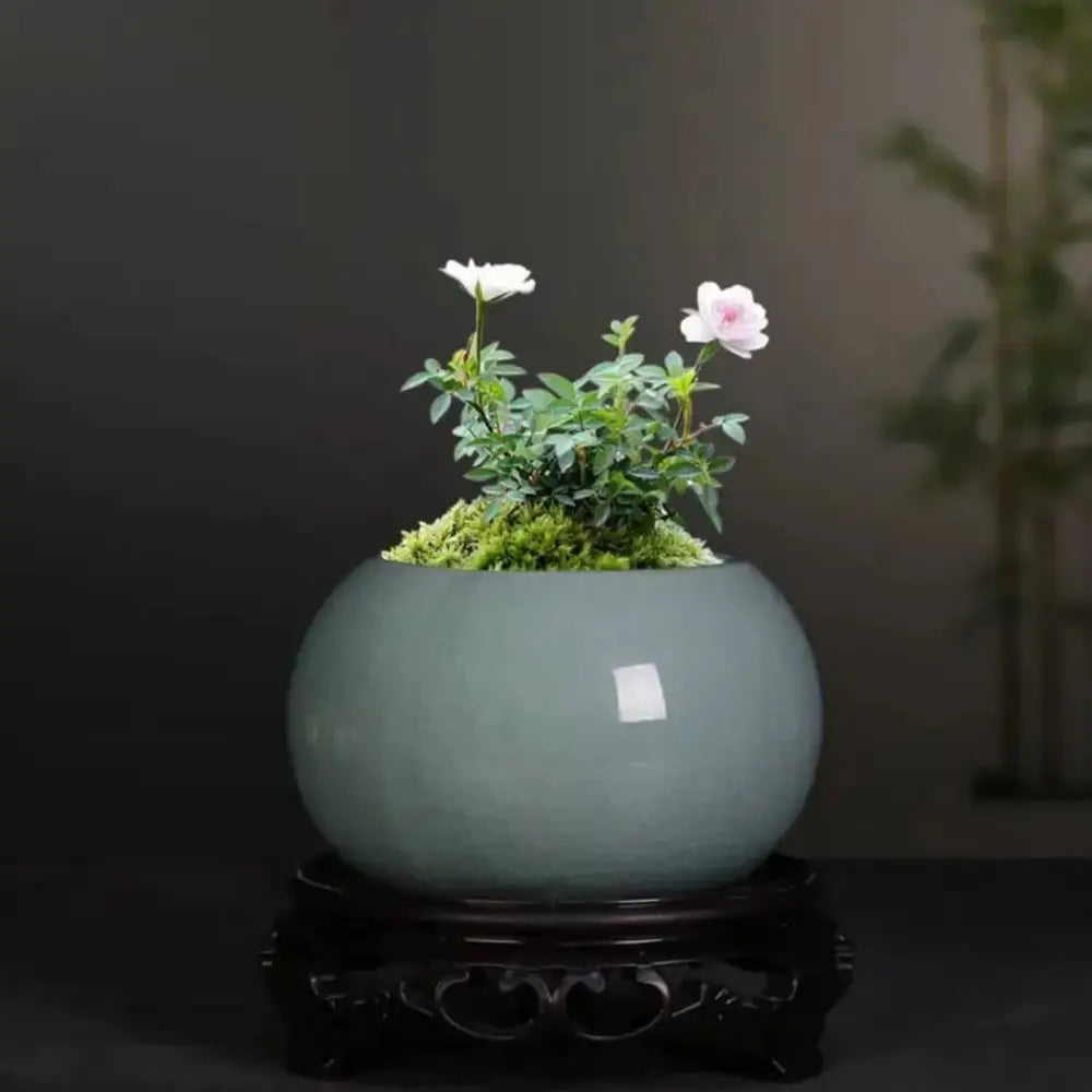 Mini pot de fleur rond en céramique