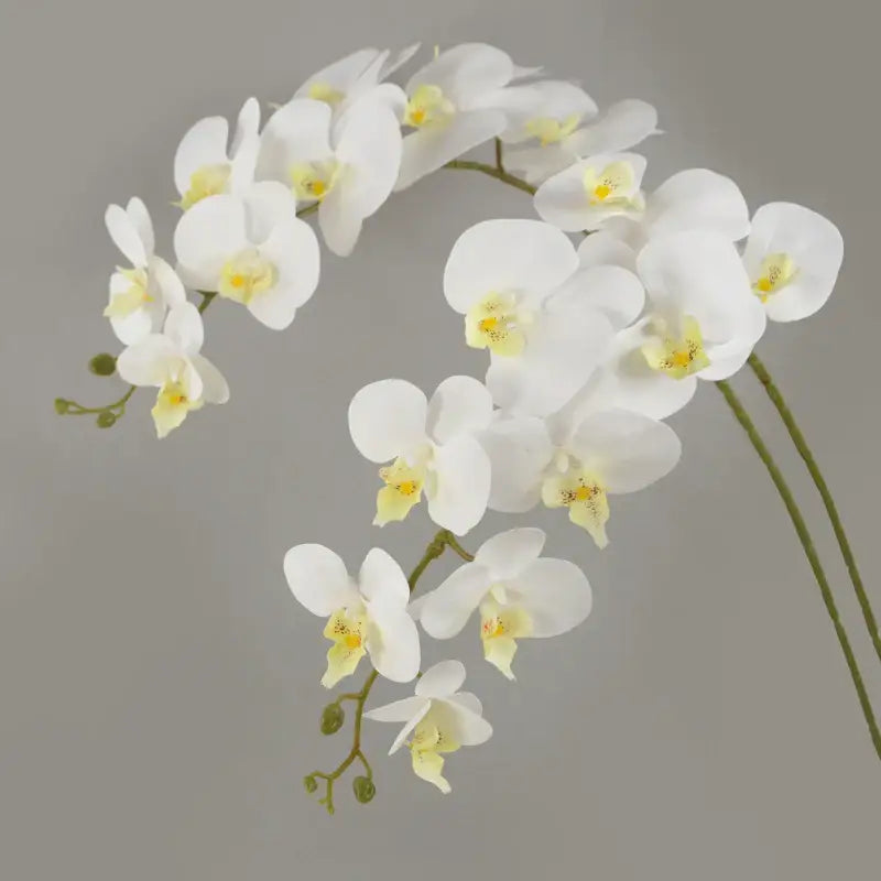Orchidée artificielle