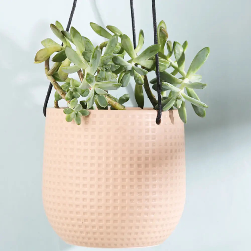 Petit pot de fleur à suspendre