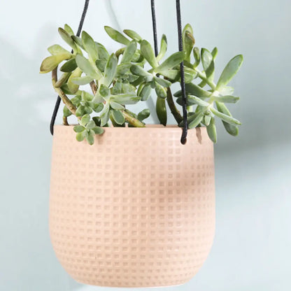 Petit pot de fleur à suspendre
