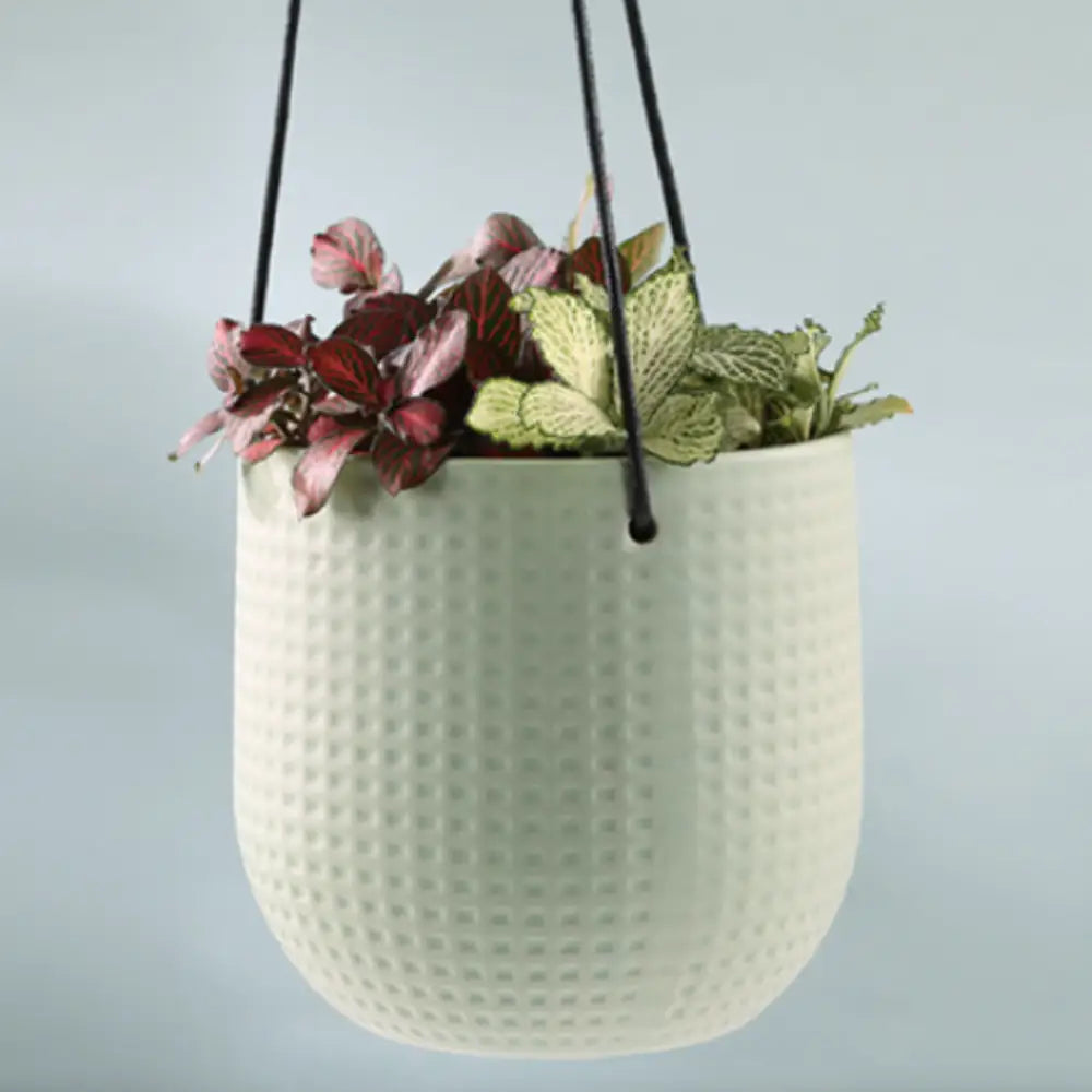 Petit pot de fleur à suspendre