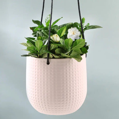 Petit pot de fleur à suspendre