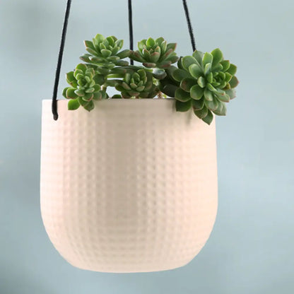 Petit pot de fleur à suspendre