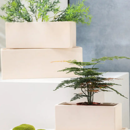 Petit pot de fleur rectangulaire