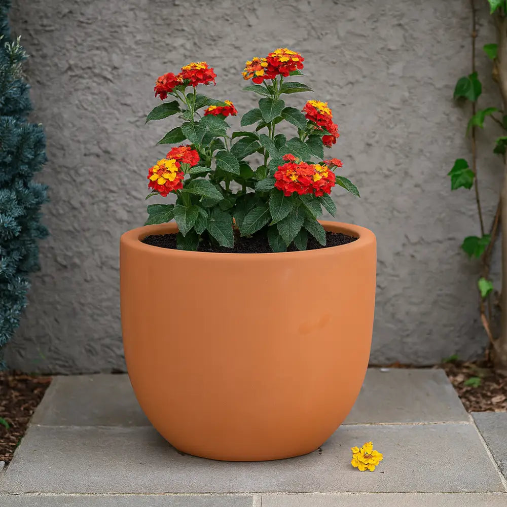 Petit pot de fleur terre cuite