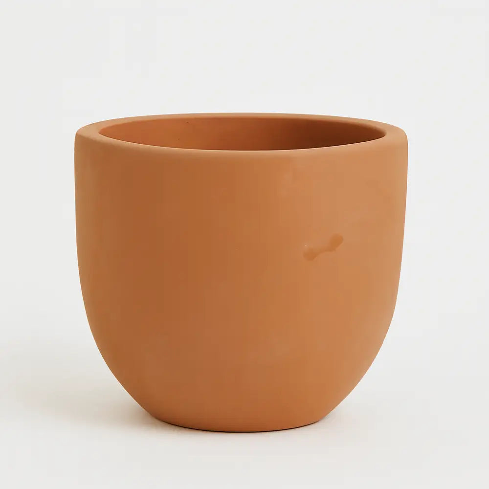 Petit pot de fleur terre cuite