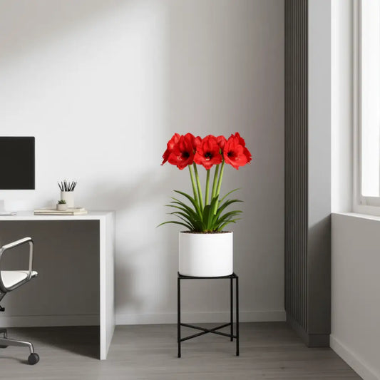 Porte plante metallique