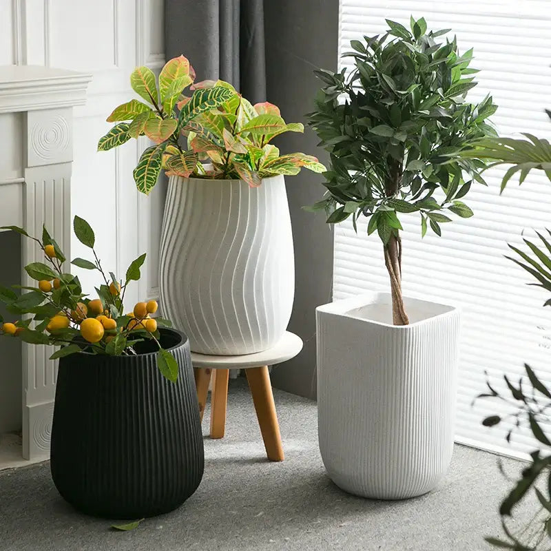 Pot de fleur blanc intérieur