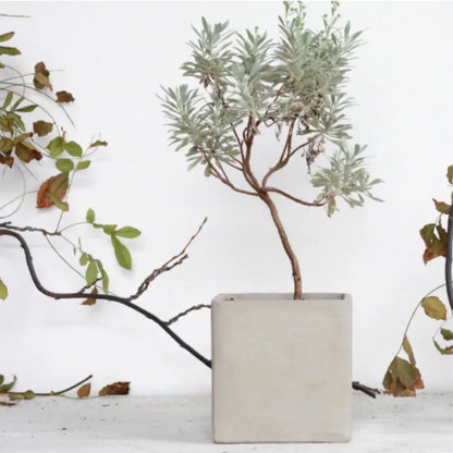 Pot de fleur carré 15x15