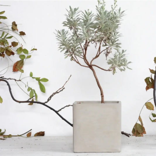 Pot de fleur carré 15x15