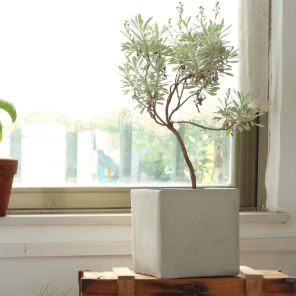 Pot de fleur carré 15x15