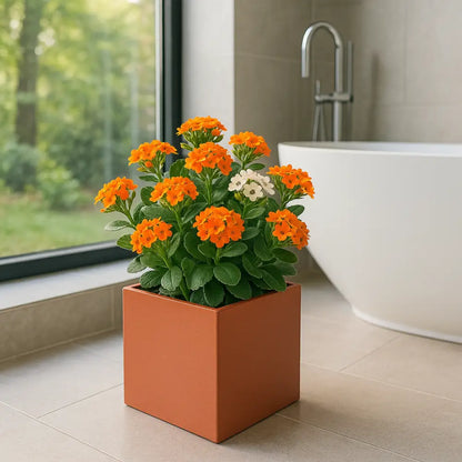 Pot de fleur carré 20x20