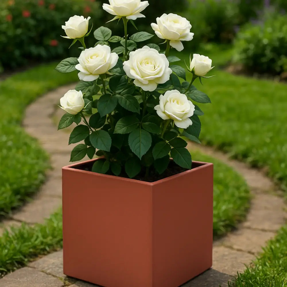 Pot de fleur carré 20x20