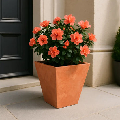 Pot de fleur carré 25x25