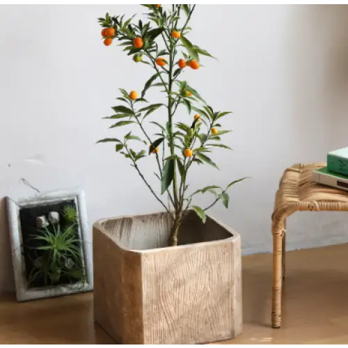 Pot de fleur carré 30x30