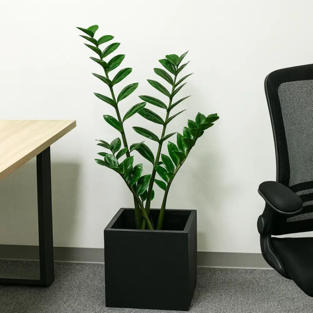 Pot de fleur carré 40x40