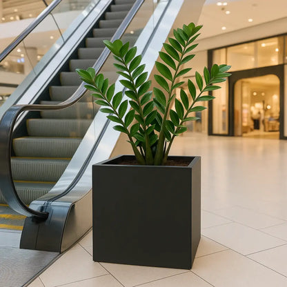 Pot de fleur carré 50x50