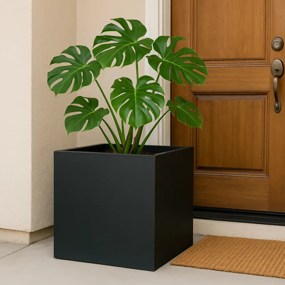 Pot de fleur carré 50x50