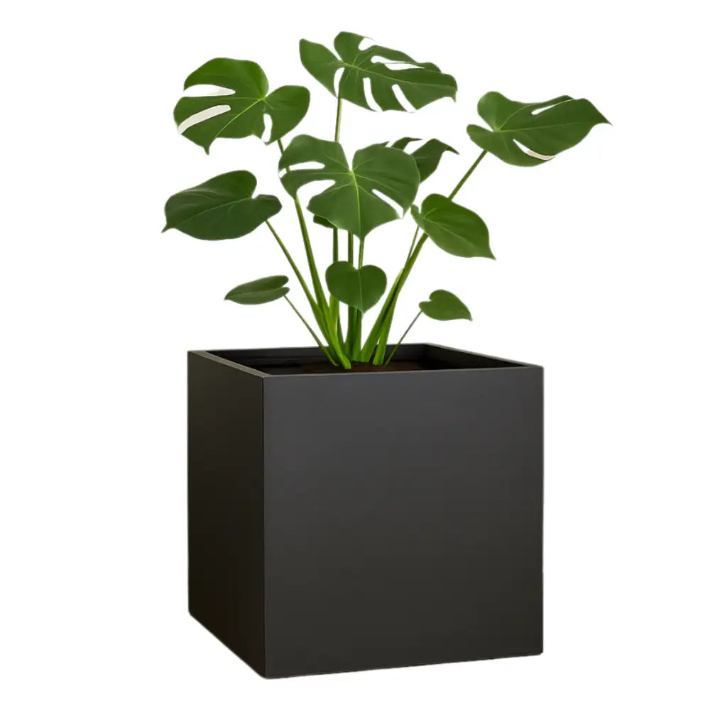 Pot de fleur carré 50x50